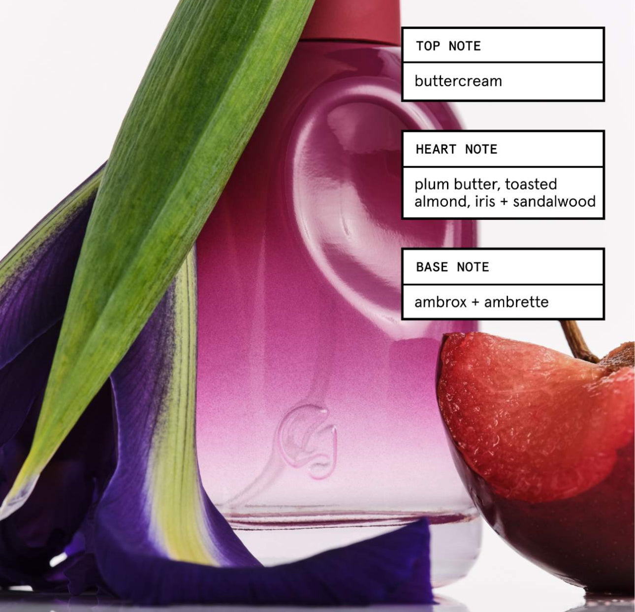 You Rêve Eau de Parfum *Pre-Order*