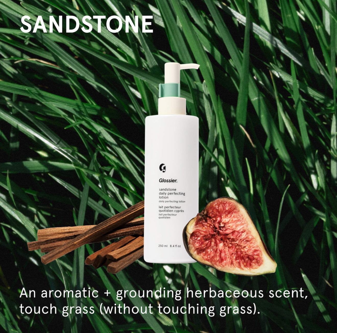 Dalia Perfecting Nourishing Lotion *Pre-Order*