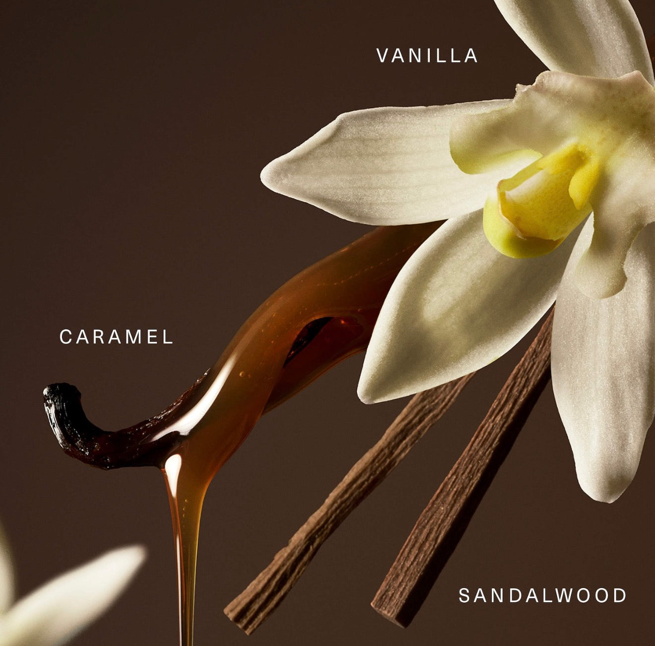 Rare Eau de Parfum with Vanilla and Caramel *Pre-Order*
