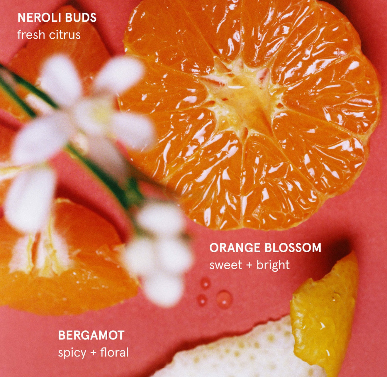 Nourishing Daily Oil Wash *Pre-Order*