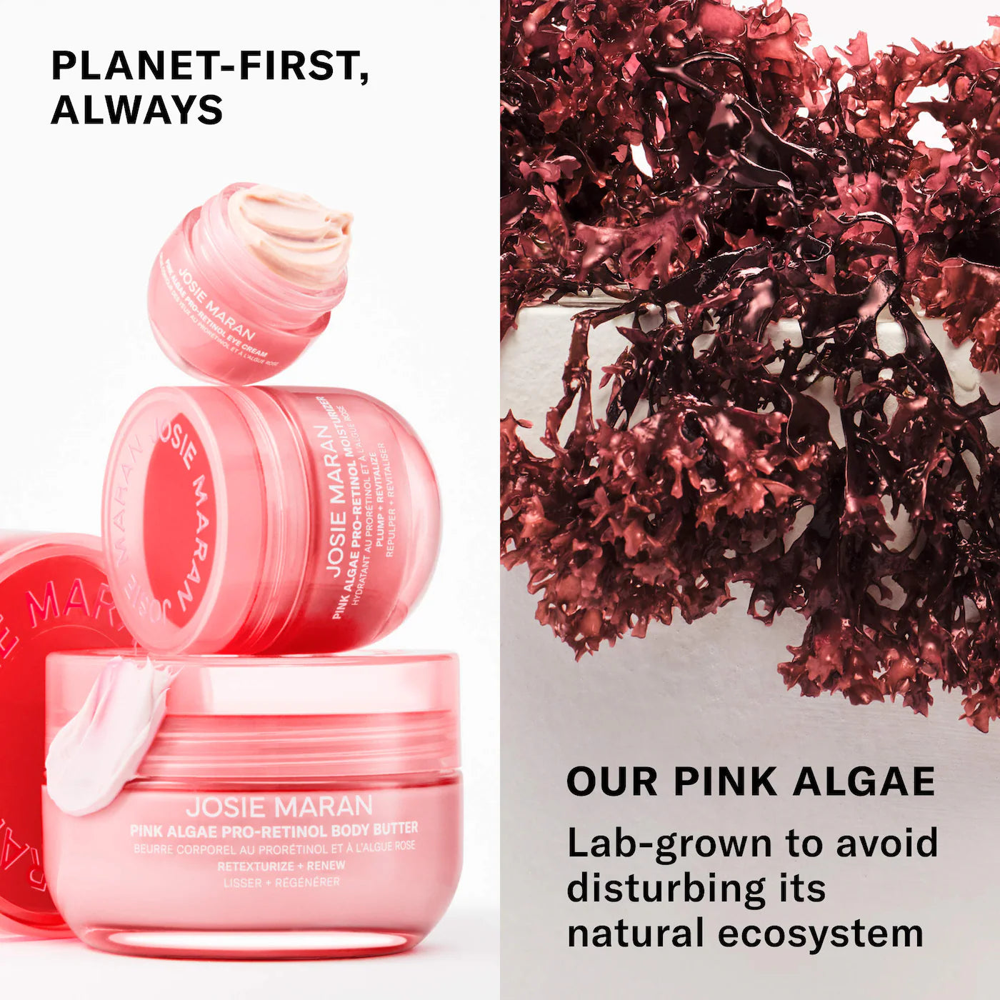 Pink Algae Pro-Retinol Body Butter for Anti-Aging and KP *Pre-Order*