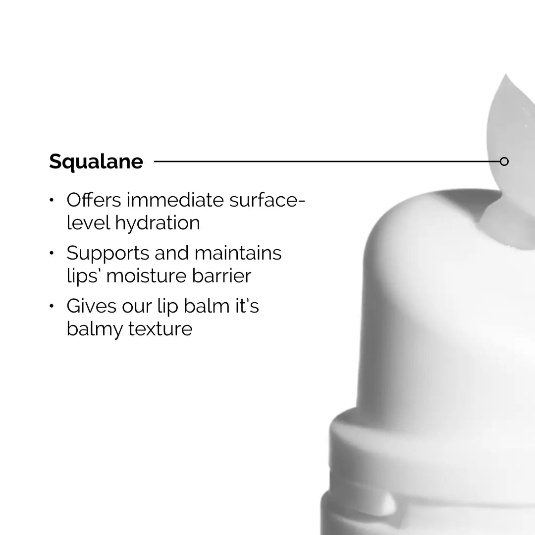 Squalane + Amino Acids Hydrating Lip Balm *Pre-Order*